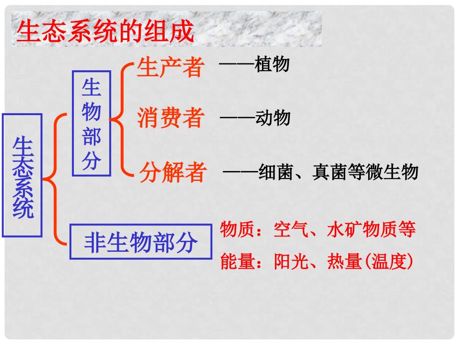 浙江省温州市平阳县鳌江镇第三中学九年级科学下册 第二章《生物与环境》6.2生物与环境2.2 第二节生态系统（第二课时）课件 浙教版_第3页