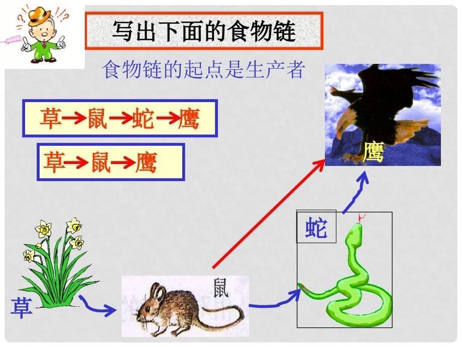 浙江省温州市平阳县鳌江镇第三中学九年级科学下册 第二章《生物与环境》6.2生物与环境2.2 第二节生态系统（第二课时）课件 浙教版_第5页