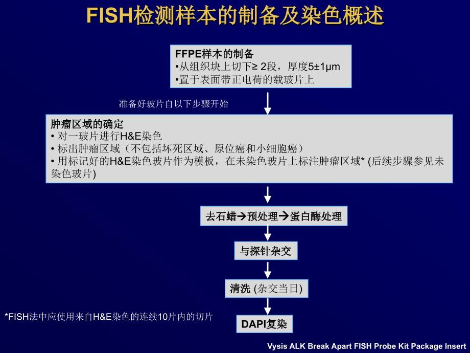 ALK的病理学和诊断指南_第4页