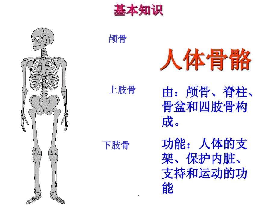 创伤急救止血包扎固定搬运_第5页