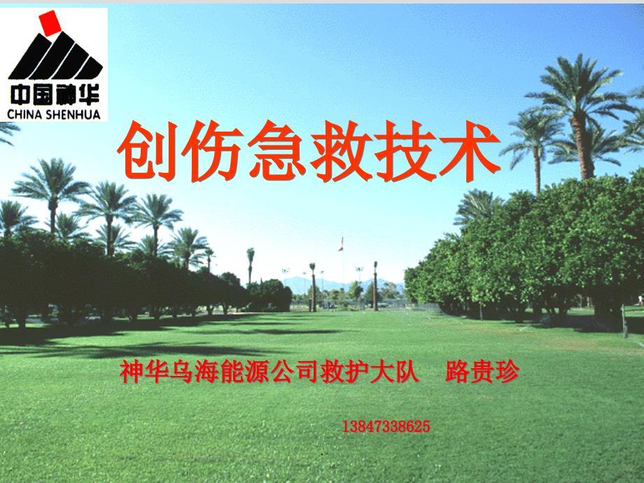 创伤急救止血包扎固定搬运