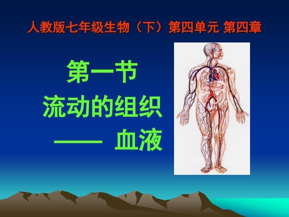 第一节、流动的组织血液_第5页