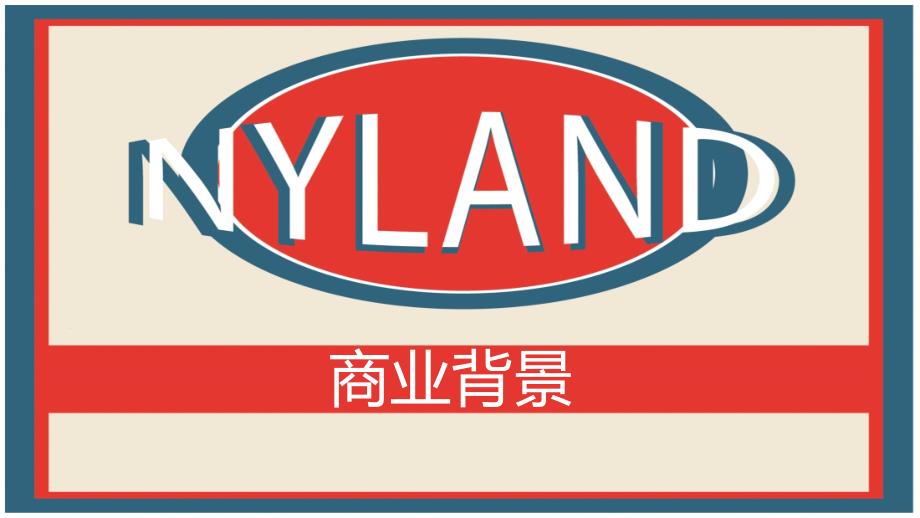 Nyland商业计划书_第3页