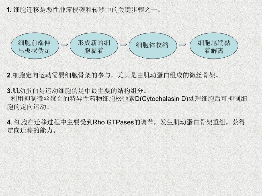 肿瘤细胞迁移中的信号通路_第2页