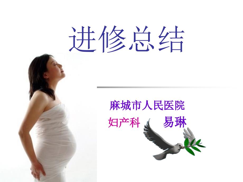 《助产士进修总结》PPT课件.ppt_第1页