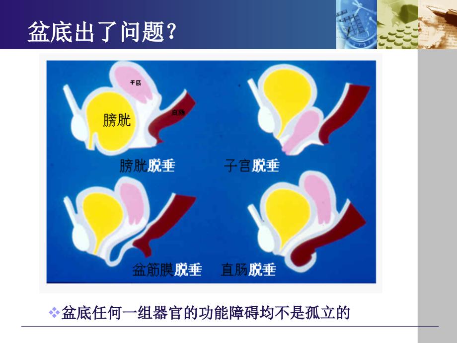 盆底康复治疗_第4页