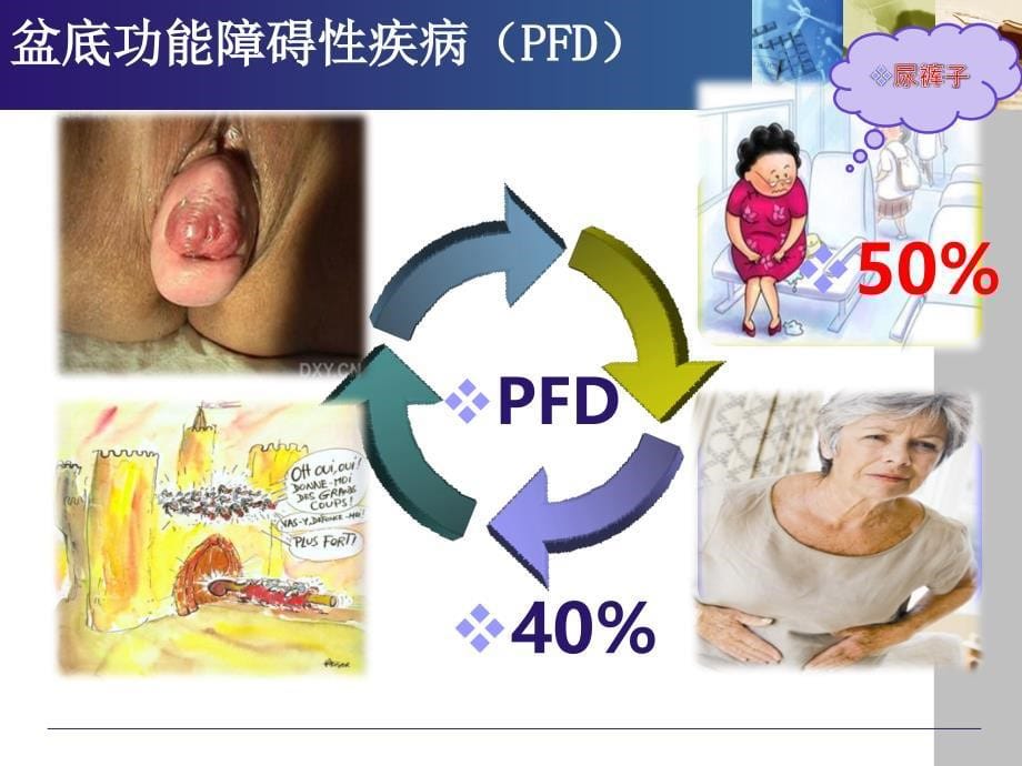 盆底康复治疗_第5页