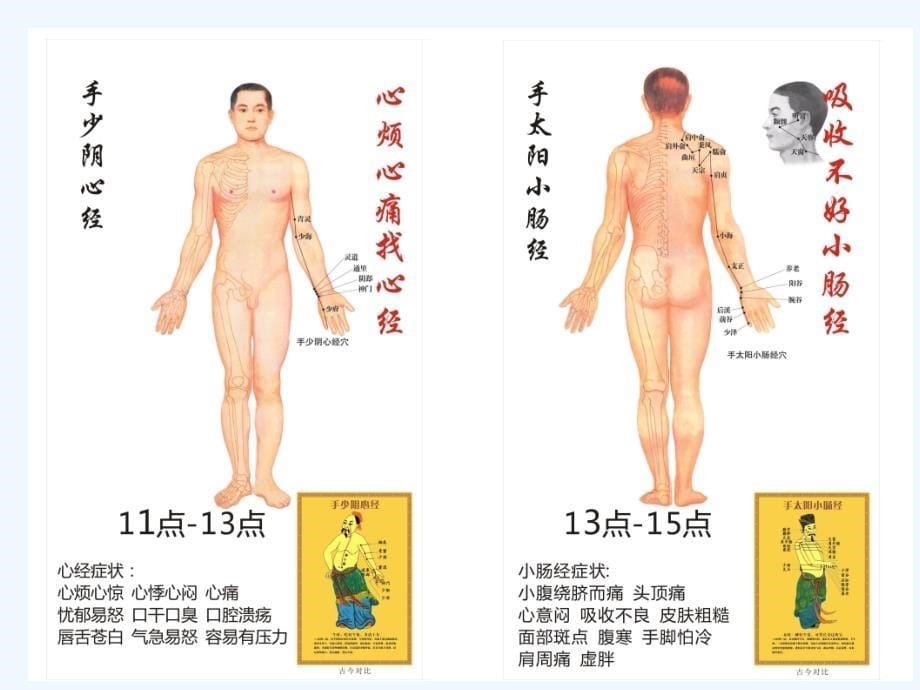 人体经络穴位骨骼肌肉讲解课件_第5页