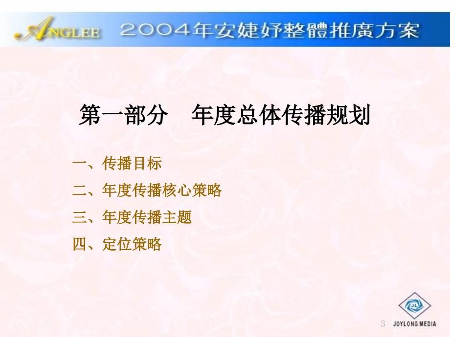 安婕妤2004整体推广方案_第3页