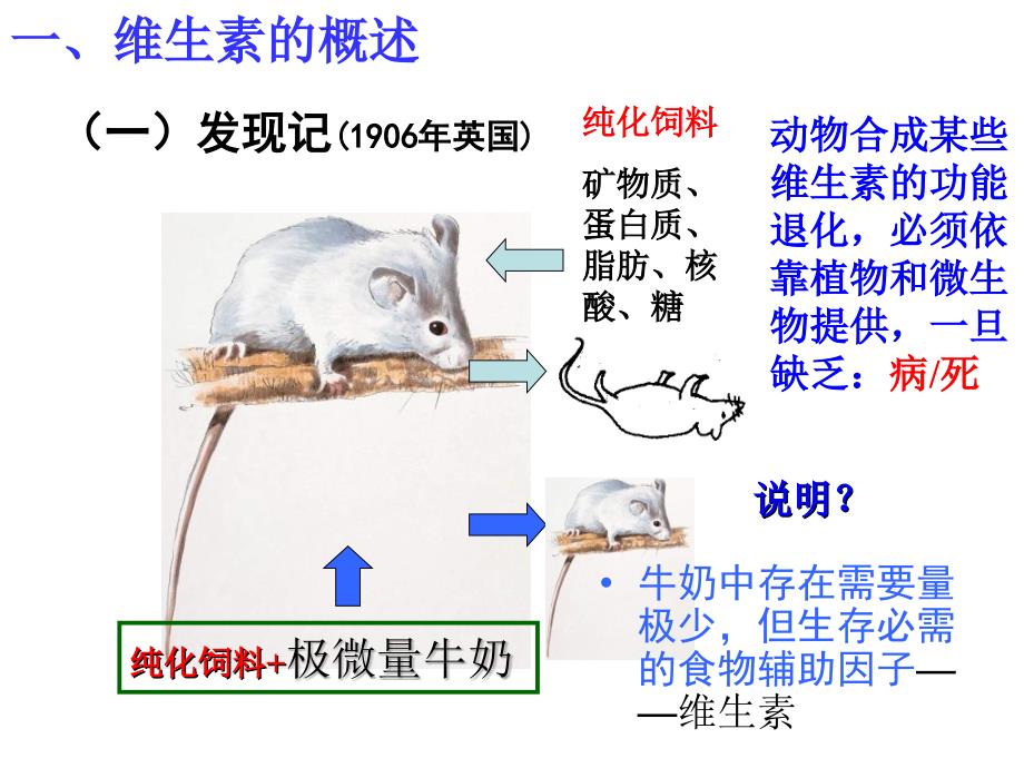 《维生素和辅酶》课件_第2页