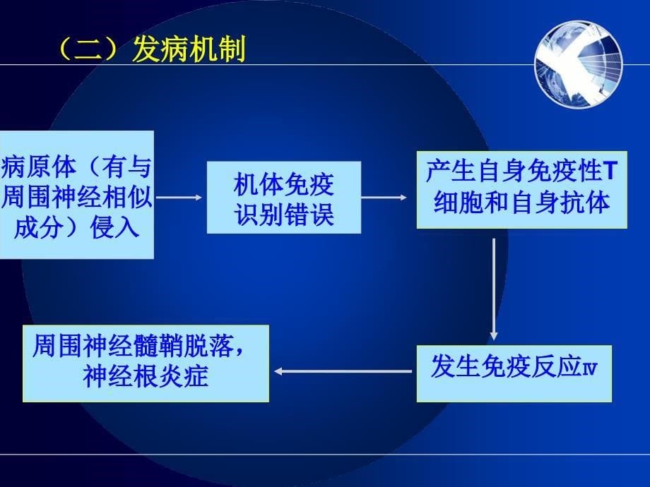 急性炎症性脱髓鞘多发性神经病AIDP病人的护理_第5页