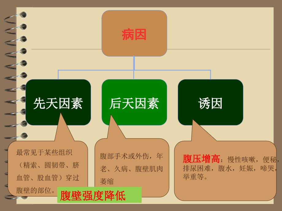 腹股沟斜疝健康宣教_第3页