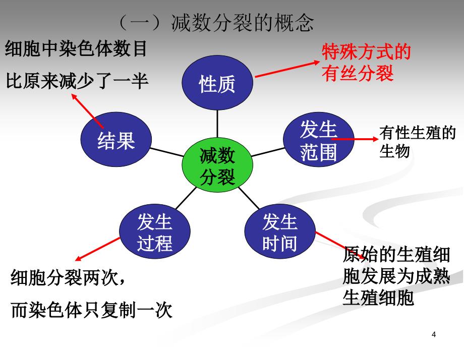 减数分裂过程中的曲线图及其与遗传定律的关系PPT优秀课件_第4页