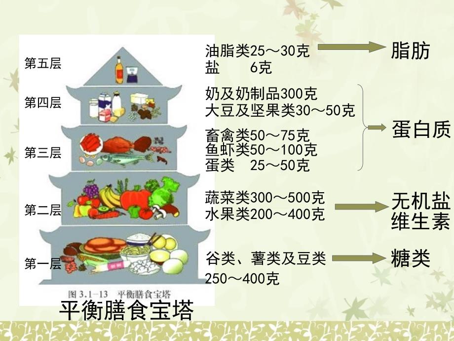 合理膳食与食品安全_第3页