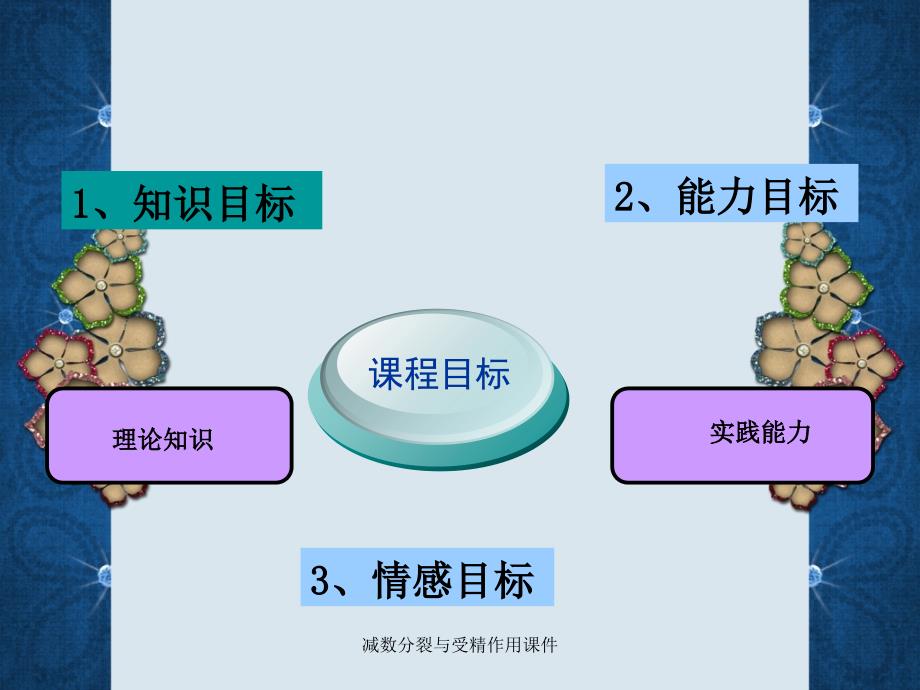 减数分裂与受精作用课件_第4页