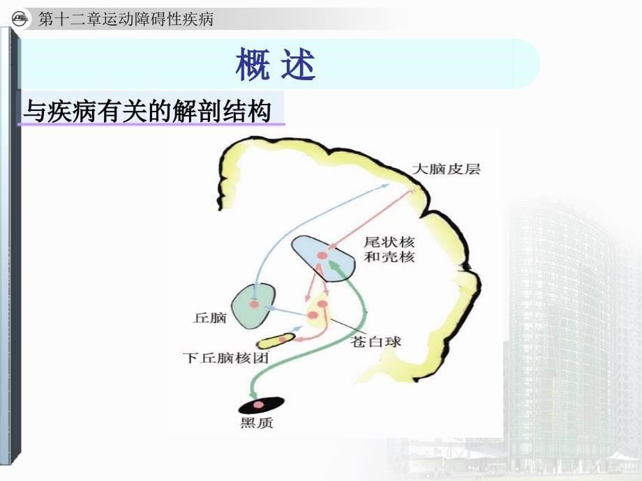 帕金森病第7版人卫版教材_第5页