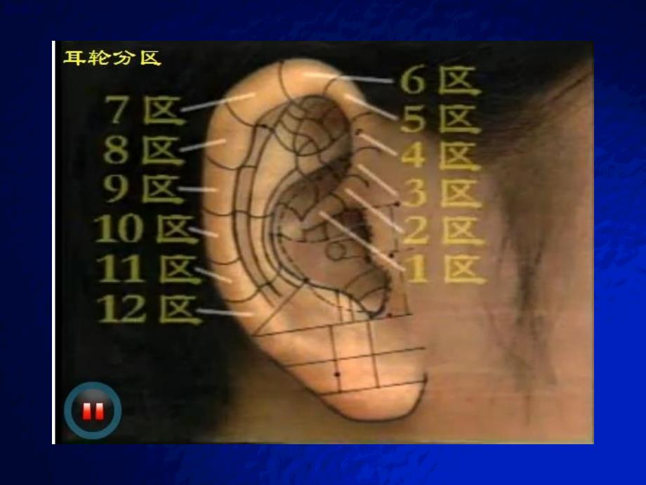 耳穴定位图与作用深度荟萃_第2页