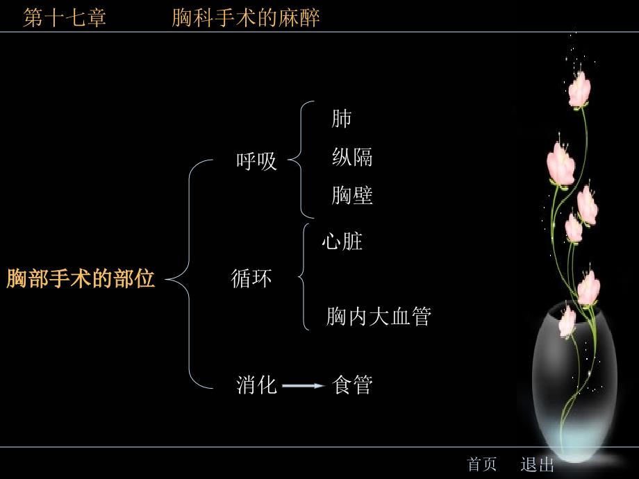 《胸科手术麻醉》PPT课件_第2页