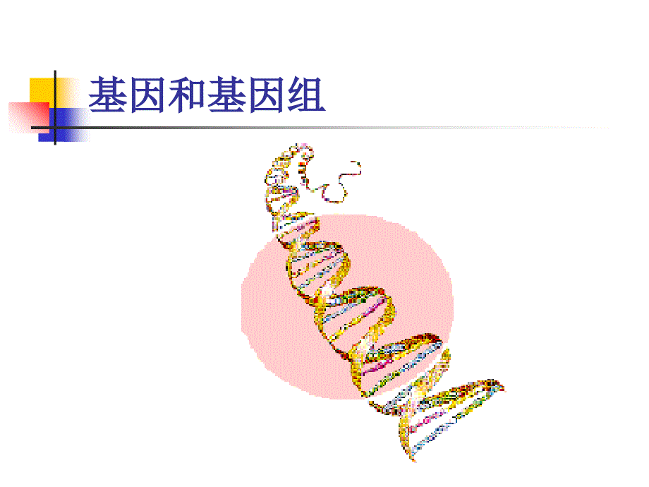 医学分子生物学-基因组_第2页