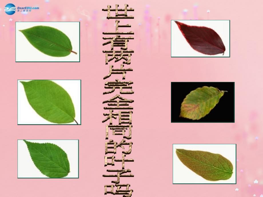 七年级政治上册 2.3 珍爱生命课件 新人教版_第2页