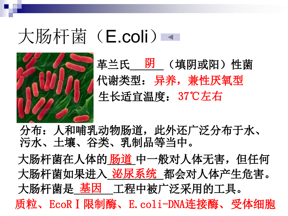 实验1大肠杆菌的培养和分离_第3页