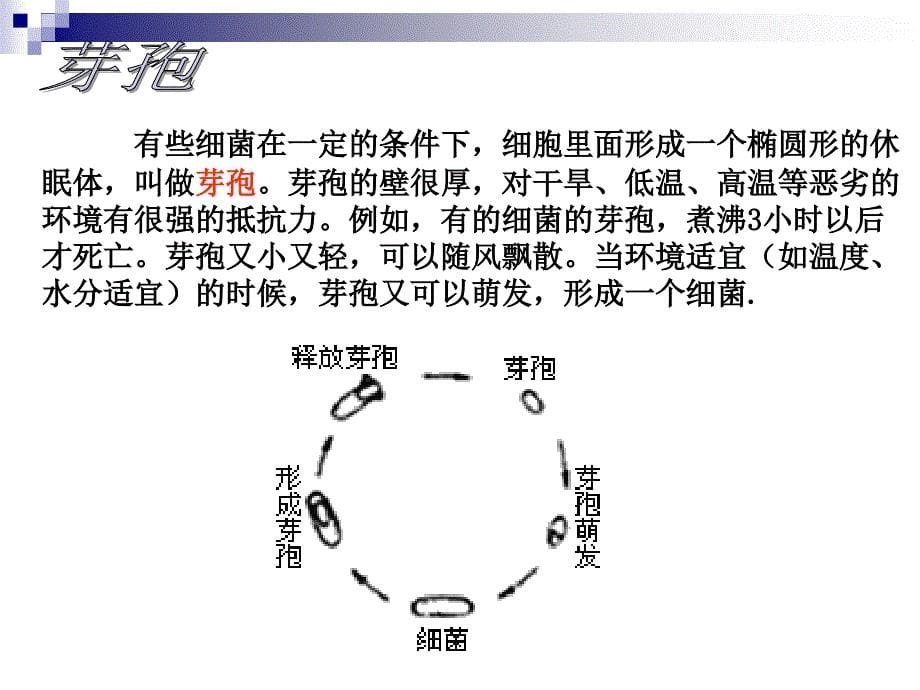 实验1大肠杆菌的培养和分离_第5页