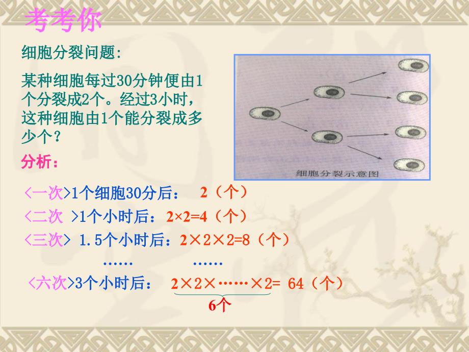 北师大版七年级数学上册15有理数的乘方课件_第2页