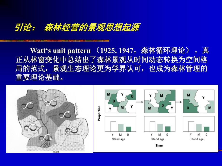 景观和景观生态学_第4页