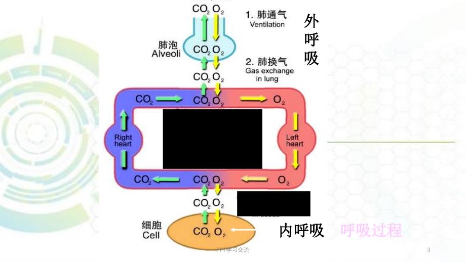 肺功能不全ppt课件_第3页