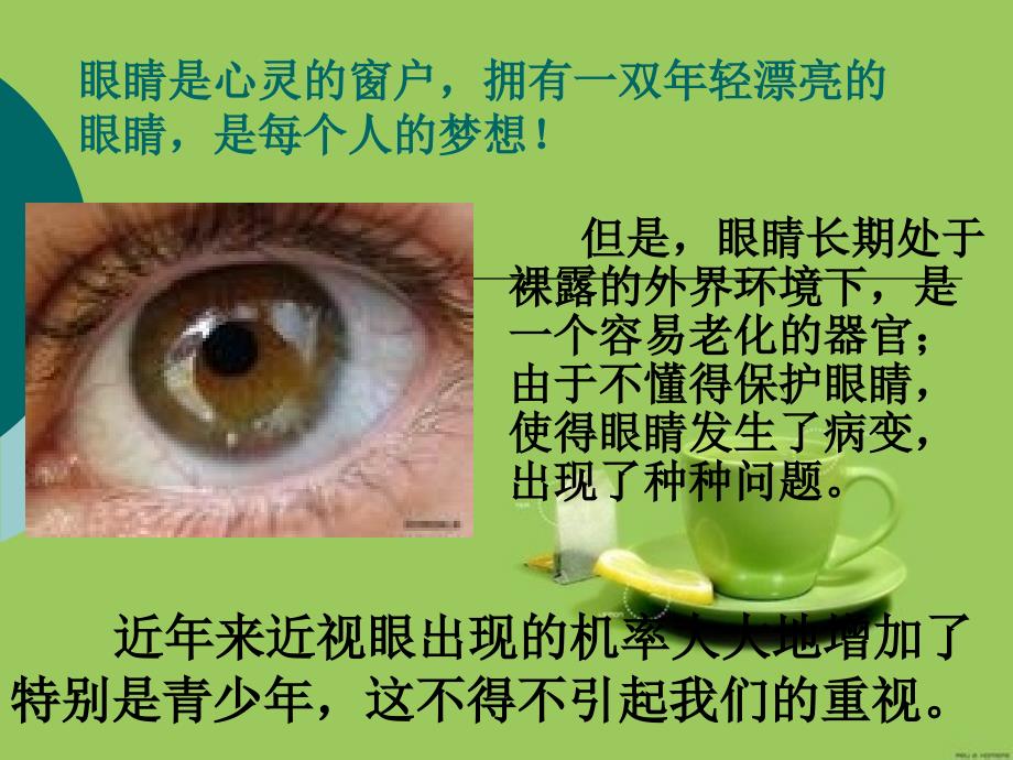 近视眼的形成与预防.ppt_第2页