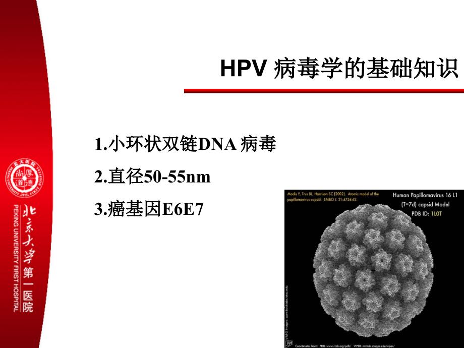 宫颈疾病规范化治疗流程_第4页