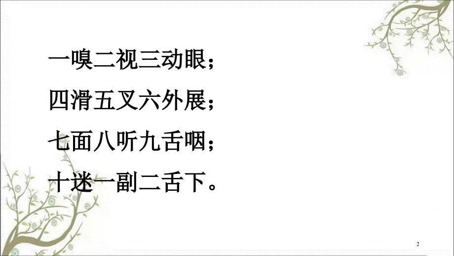 脑神经修改课件_第2页