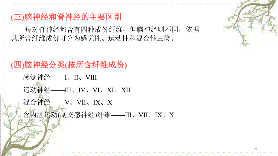 脑神经修改课件_第4页