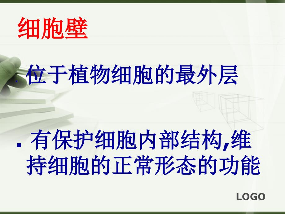 动植物细胞的结构和功能课件.ppt_第3页