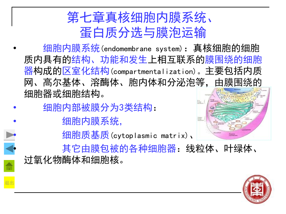 真核细胞内膜系统、蛋白质分选与膜泡运输-复_第2页