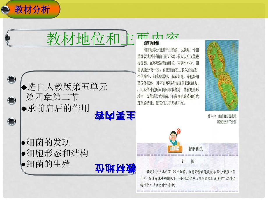 福建省厦门市厦门十中5月初中生物 第五单元 第四章 第二节 细菌教学案例交流评课件_第3页