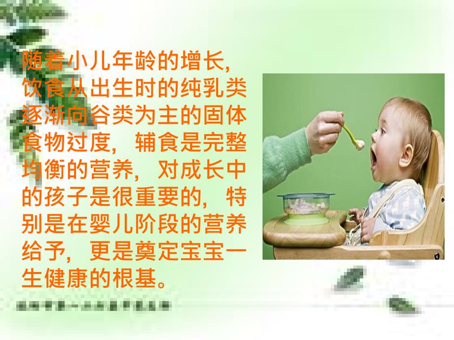 《婴儿的辅食添加》PPT课件.ppt_第2页