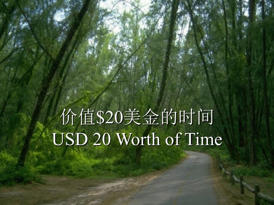 价值$20美金时间USD20WorthofTime_第1页