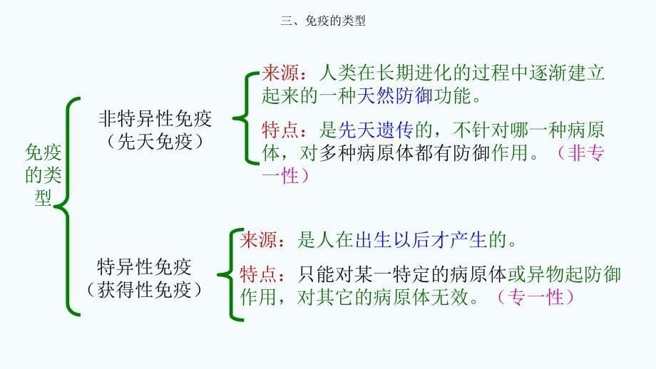 免疫调节动画3张课件_第5页