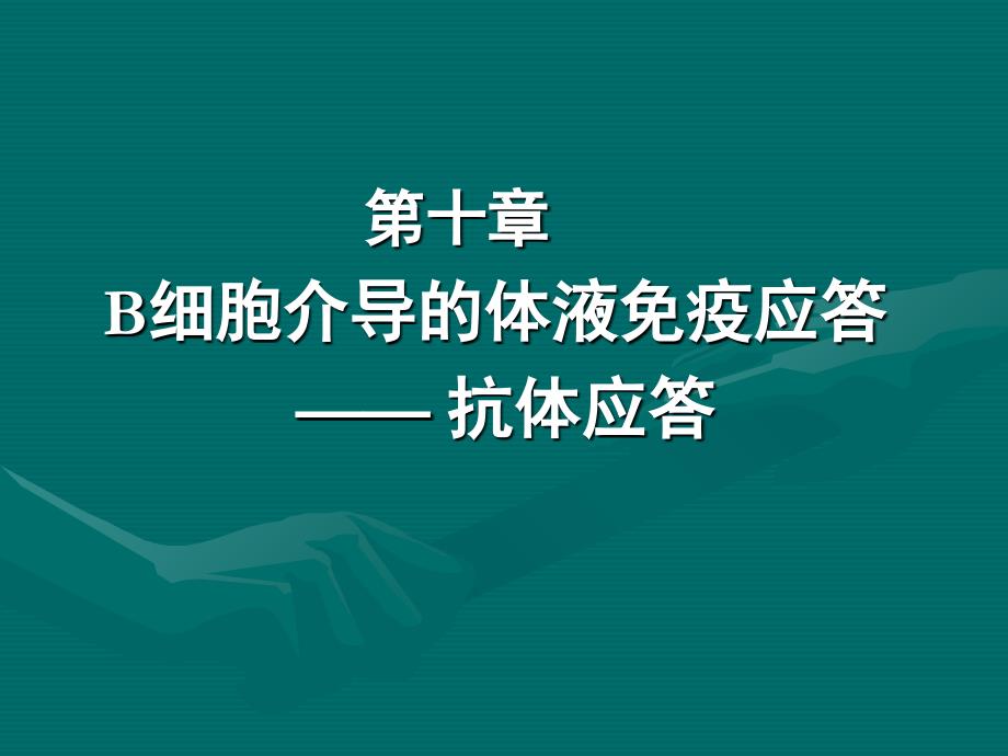 B细胞介导的体液免疫应答_第1页