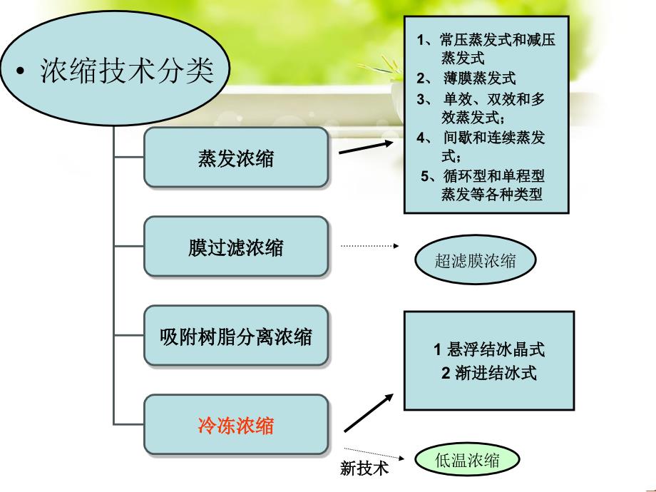 中药浓缩技术(冷冻浓缩)_第3页