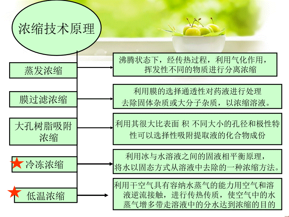 中药浓缩技术(冷冻浓缩)_第4页