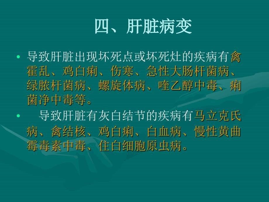 养鸡培训资料：鸡常见病变的鉴别诊断_第5页