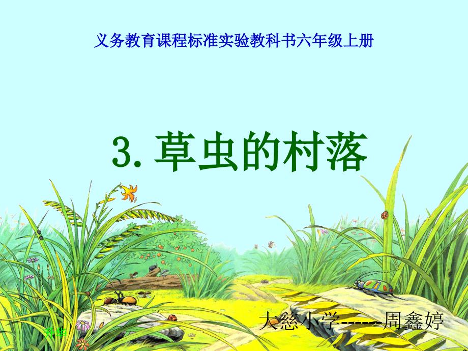 草虫的村落课件.ppt.ppt_第1页