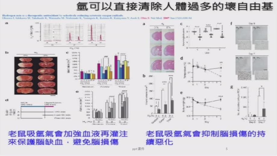 神奇的氢气生物学效应--ppt课件_第5页