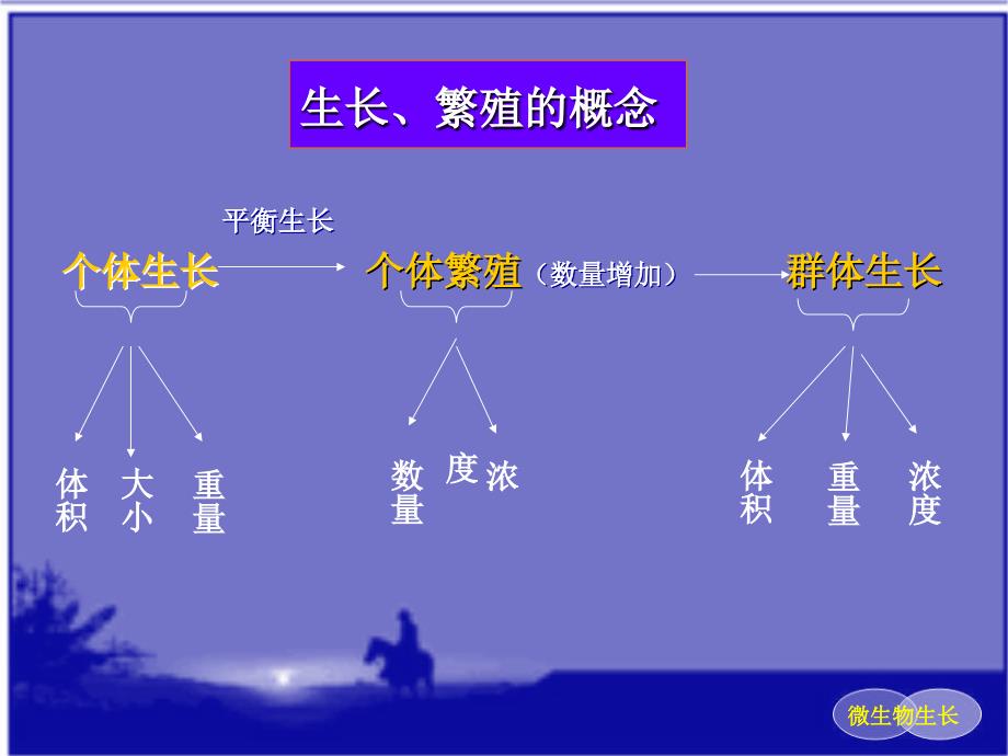 微生物课件微生物的生长_第3页