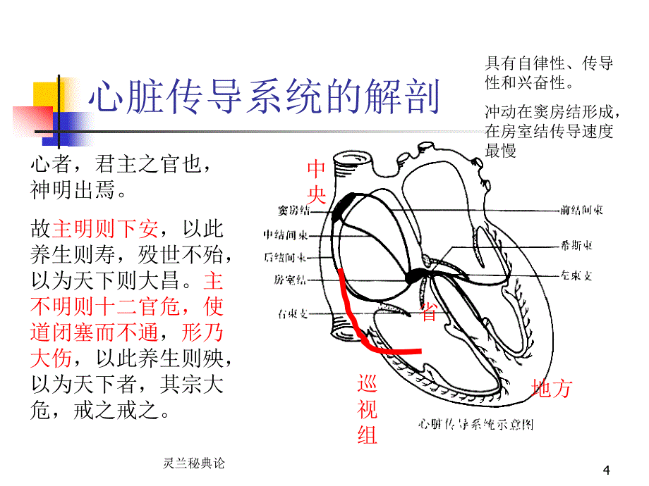 第03章心律失常-内科学第8版第二篇_第4页