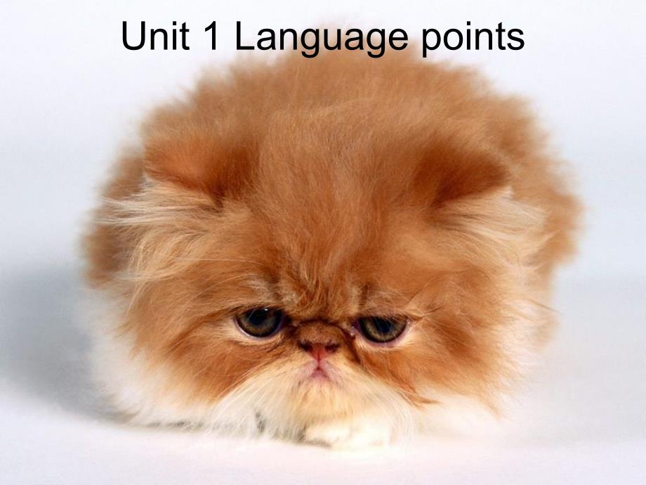 《unit1 Language points》课件四十七（17张PPT）（人教版选修7）_第1页