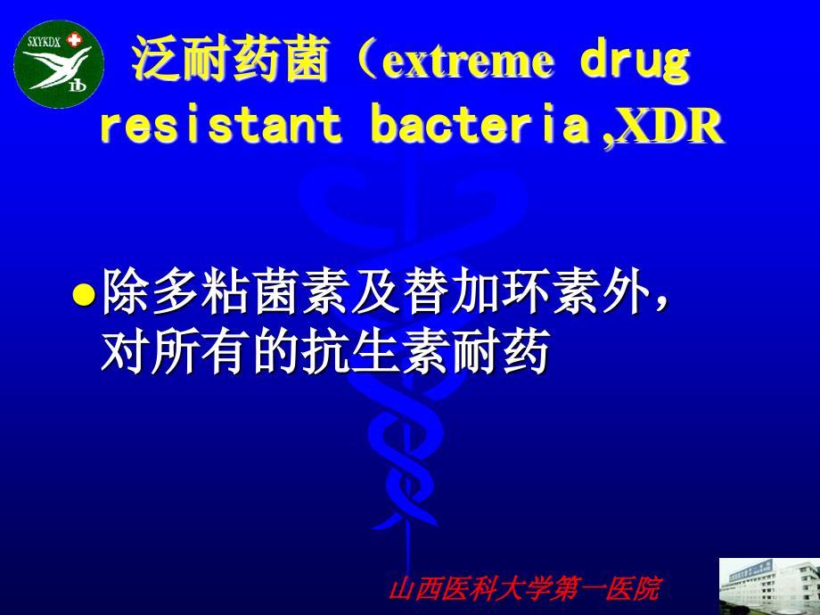 多重耐药感染的防治与抗生素合理使用_第3页