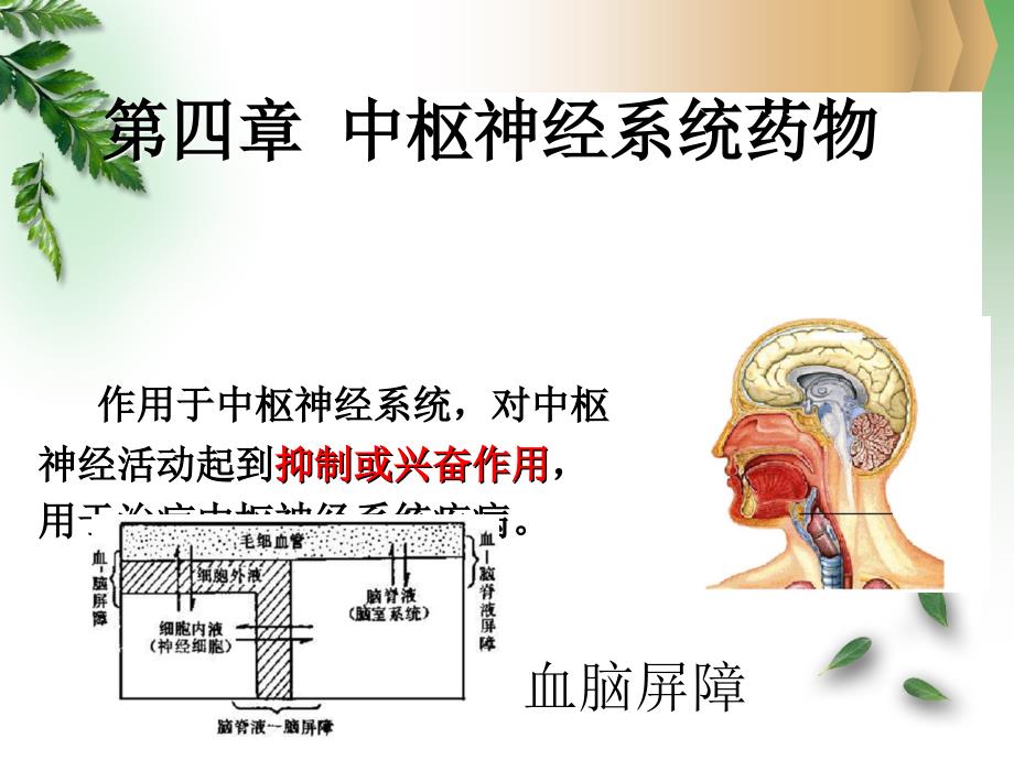 镇静催眠药护理药物学_第2页